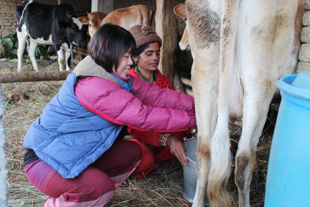 Annapurna Eco Village Pokhara Esterno foto