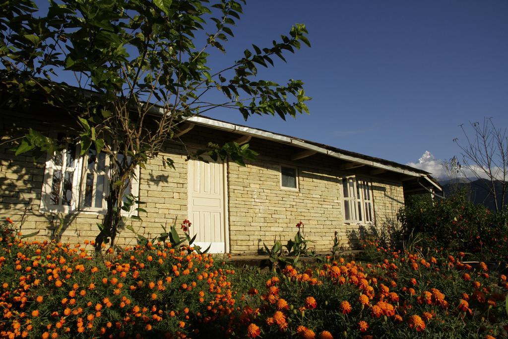 Annapurna Eco Village Pokhara Esterno foto