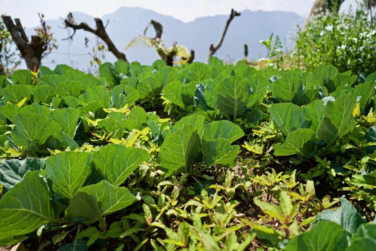 Annapurna Eco Village Pokhara Esterno foto